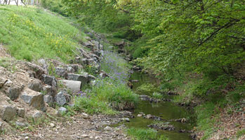 하천생태원 이미지