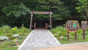 유아숲체험원 이미지