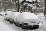 도시지역 대설 이미지