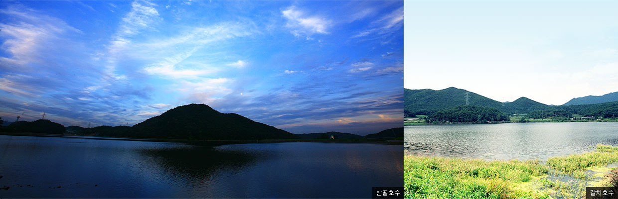 반월호수, 갈치호수