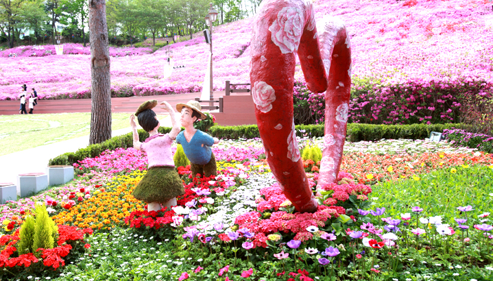 철쭉동산 이미지