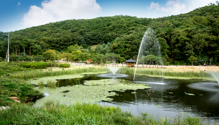 초막골생태공원 이미지